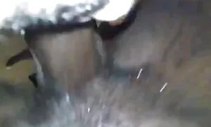 ንግስቲ ኢቦኒ ጸሊም ኣፍሪቃዊ ኣ ...