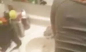 ህንዳዊ ደሲ ስጋዊ ርክብ ዓቢ ጸ ...